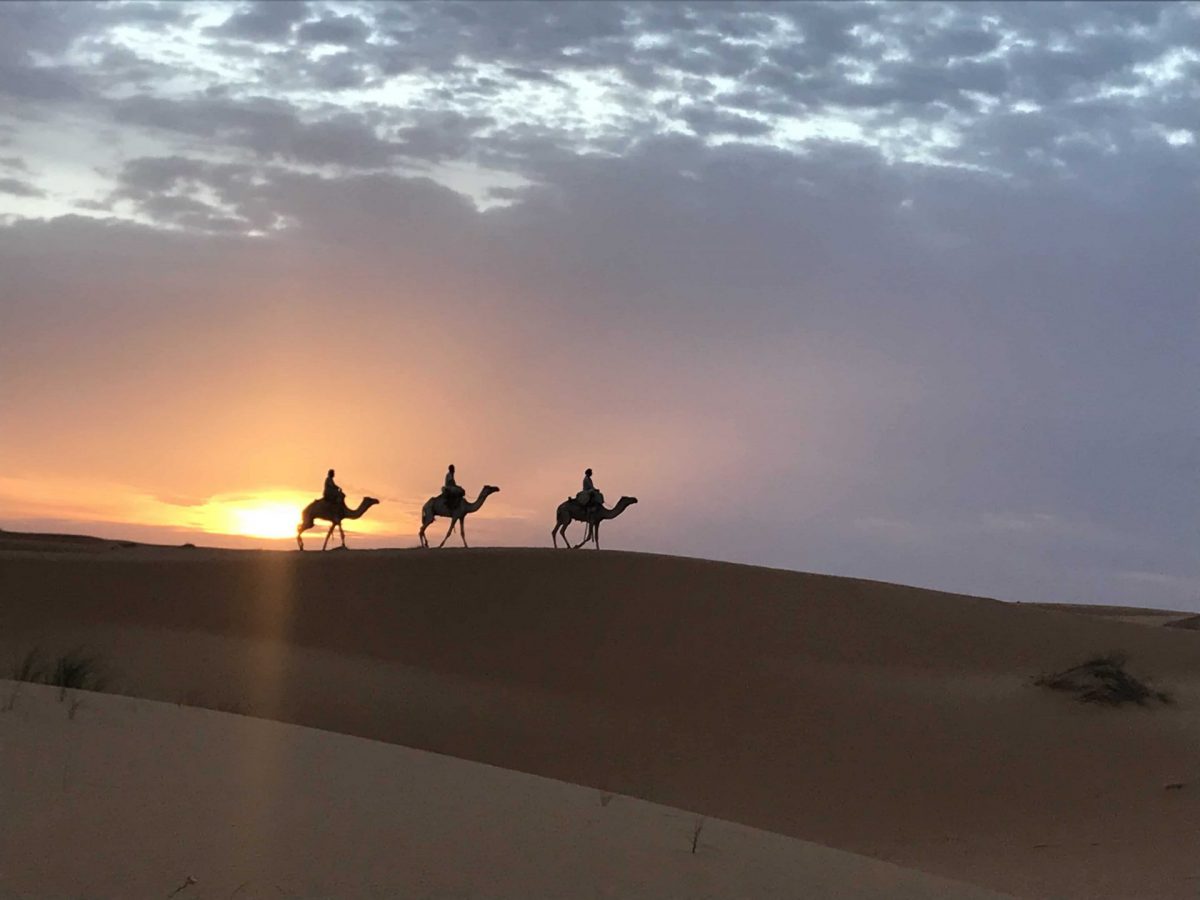 Couche-de-soleil-desert-Mauritanie-chameaux