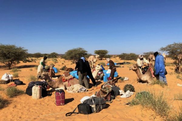 Pause dans le désert de Mauritanie - balade en chameau