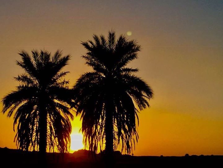 Tombee-de-la-nuit-palmiers-Mauritanie