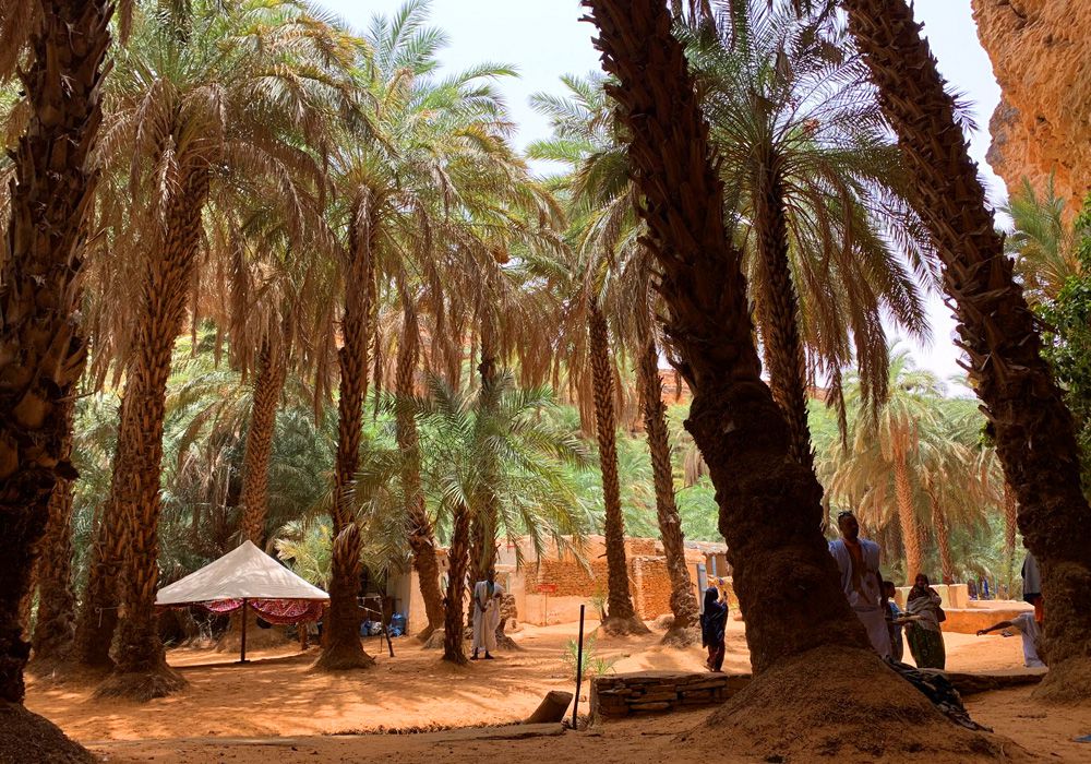 Terjit Oasis_desert-mauritanie