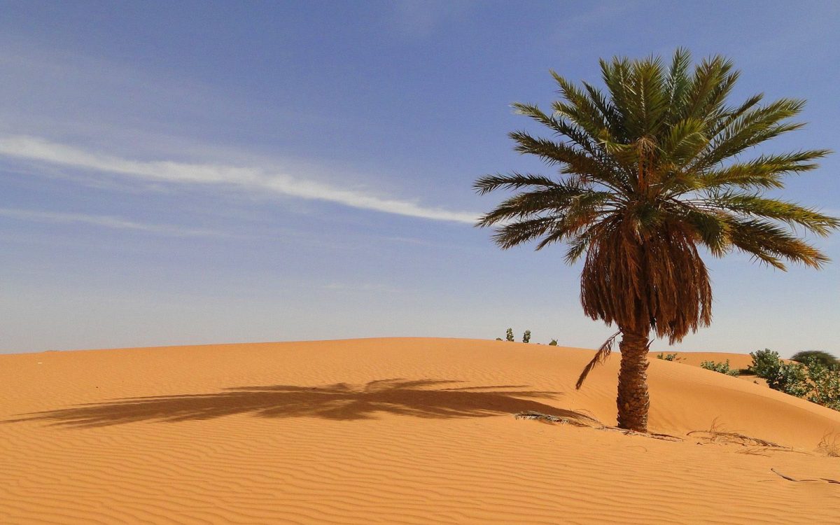 Mauritania: What the Other Side of Africa Looks Like